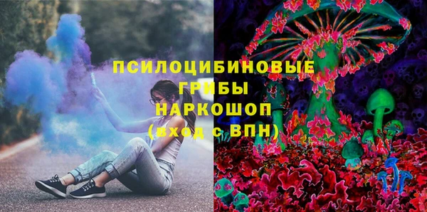 mix Богородицк